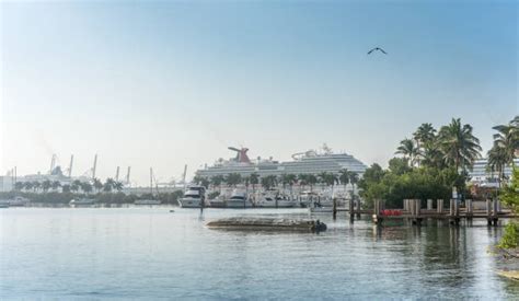 240+ Miami Cruise Ship Departure Stock Photos, Pictures & Royalty-Free Images - iStock