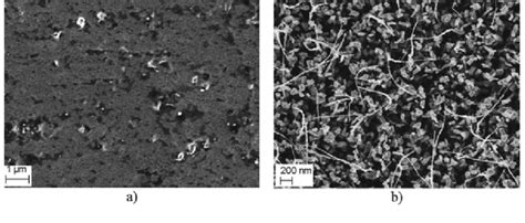 SEM image of the kamacite area: a before CVD; b after CVD | Download ...