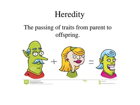 Heredity