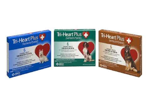 Heartworm Products: Avoid a Heartbreaking Diagnosis