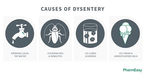 Causes and Symptoms of Dysentery