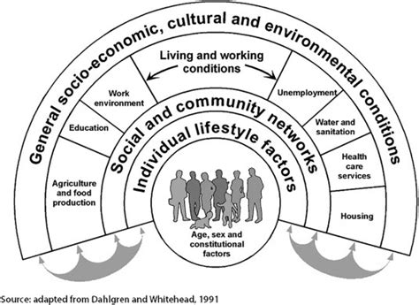 The Dahlgren and Whitehead model 30 years after – Health Econ Bot