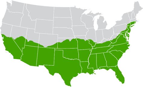 Zeon® Zoysia | Shade & Drought Tolerant Zoysia Grass and Sod