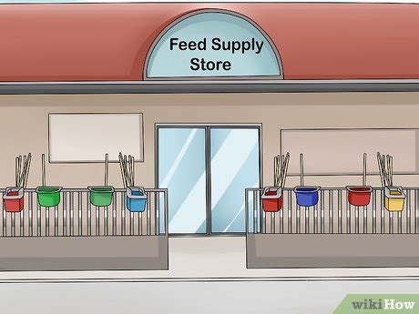 How to Install and Use a Temporary Electric Fence for Cattle