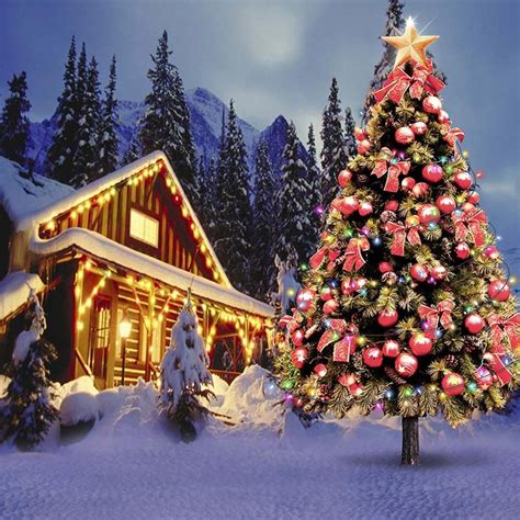 Christmas Tree Outdoor Winter Wallpapers - Wallpaper Cave