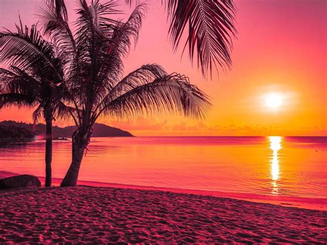 Beautiful tropical beach at sunrise 2008271 Stock Photo at Vecteezy