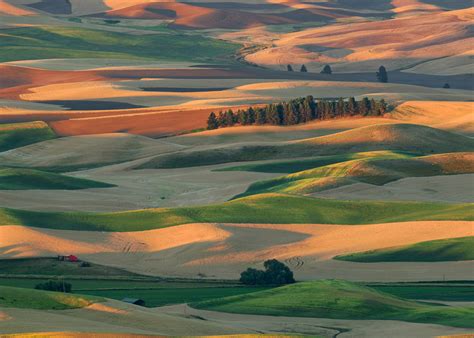 Glenn Nagel Photography | "Palouse Hills" Wins Photo of the Day!