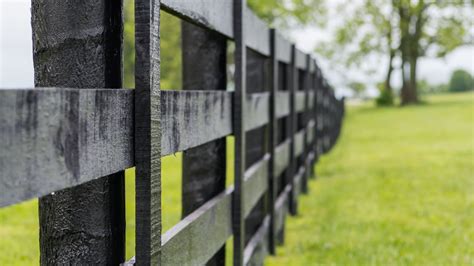 The Pros and Cons of a Black Fence - Clarksville Fencing