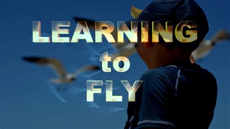 Learning To Fly