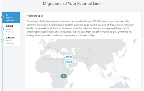 23andMe Review 2020 - One of the Best for Ancestry and Health?