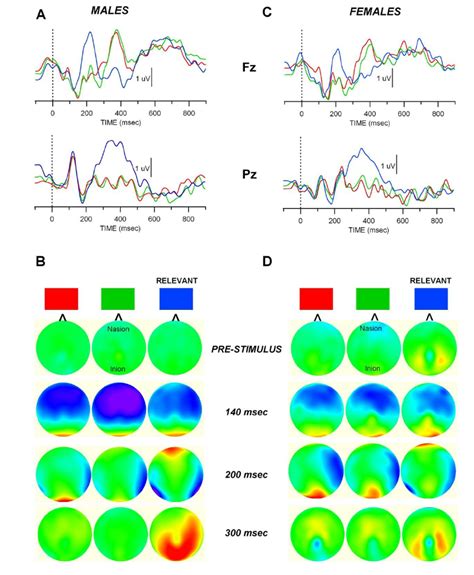 Visual Evoked Potentials in males and females during a first color... | Download Scientific Diagram