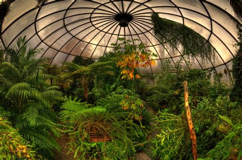 Subtropenhaus, Greenhouse Dome, Zurich Botanical Gardens, … | Flickr