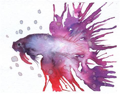 Betta IV Watercolor Painting - Fish Art