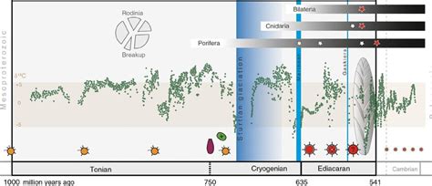 Diagram of the Neoproterozoic Era illustrating the large-scale ...