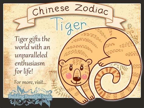 Chinese Zodiac Tiger Child Personality & Traits | Chinese Zodiac for Kids