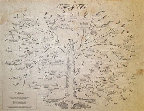 Kings of Leon Family Tree | Runner Collective