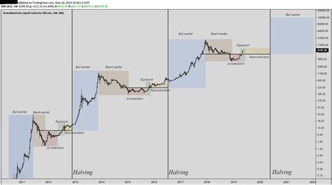 Raymond Love Buzz: Bitcoin Halving Bullrun