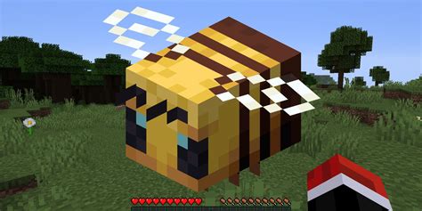 Minecraft Beehives: How To Make An Automated Honey Farm