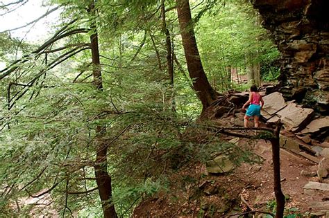 Five places you should camp this summer in Pennsylvania