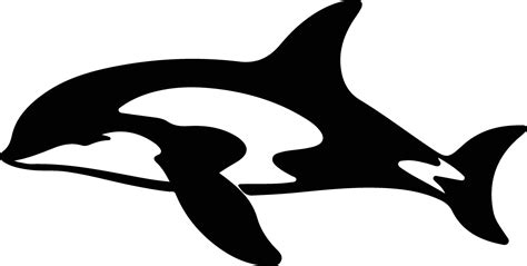 orca black silhouette 38102030 Vector Art at Vecteezy