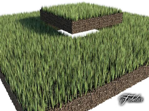 Grass patch 02 3D Model MAX OBJ 3DS FBX C4D | CGTrader.com