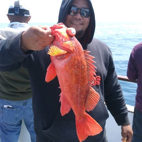 Redondo Beach Sportfishing Fish Counts