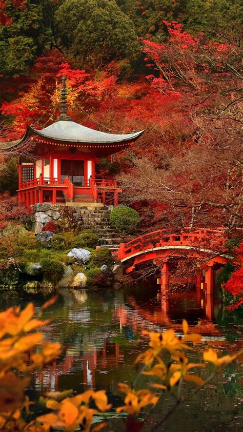 Kyoto Fall Wallpapers on WallpaperDog