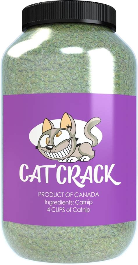 Top 10 How To Dry Catnip In Oven - Product Reviews