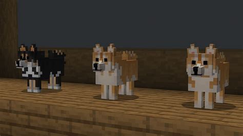 5 best Minecraft mods and resource packs for dogs