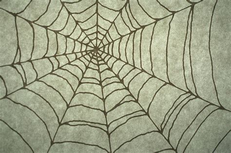 Spider Web Drawing Digital Art by Barbara Chase