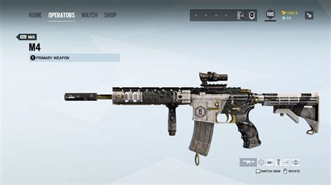 First class burglary attachment skin and the pro league weapon skins ...