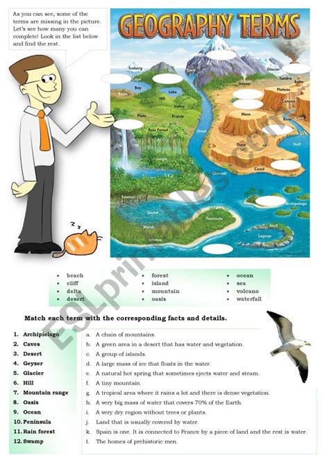 GEOGRAPHICAL FEATURES - ESL worksheet by pilarmham