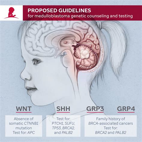 Medulloblastoma Screening Reco [IMAGE] | EurekAlert! Science News Releases