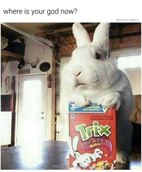 Silly Rabbit - Memebase - Funny Memes