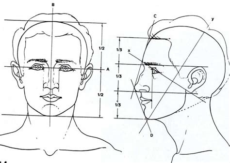 http://www.apollo13art.com/National/lifedrawing1/lectures/images/head-proportions.jpg | Drawing ...