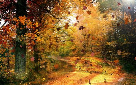 Autumn HD Widescreen Wallpaper - WallpaperSafari