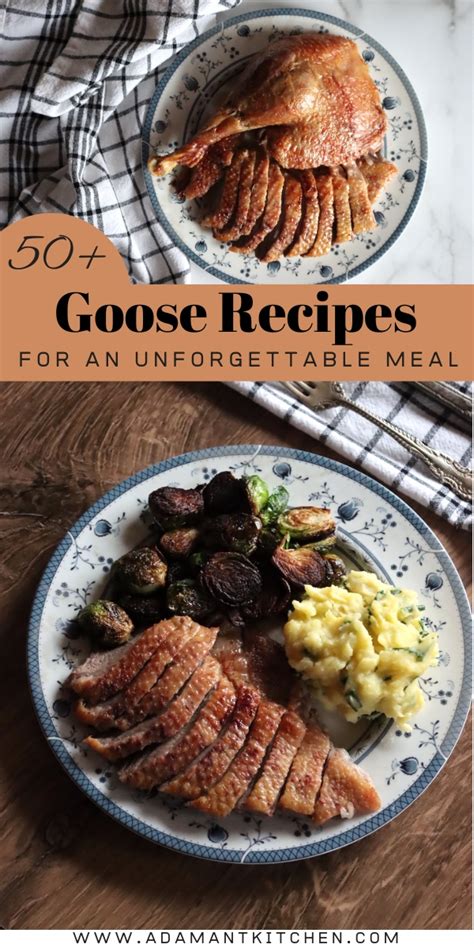 60+ Goose Recipes