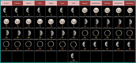 Lunar calendar - Wikipedia