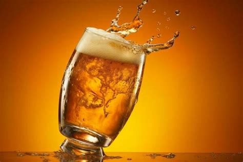 Beer Splash Stock Photos, Images and Backgrounds for Free Download