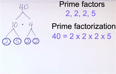 What Is The Prime Factors Of 21 - Asking List