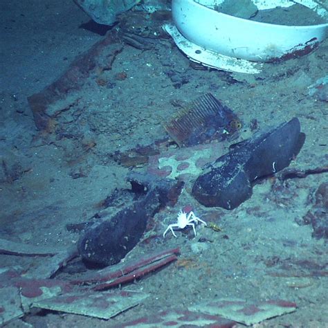 Titanic Underwater Human Remains