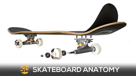 Parts Of A Skateboard Diagram