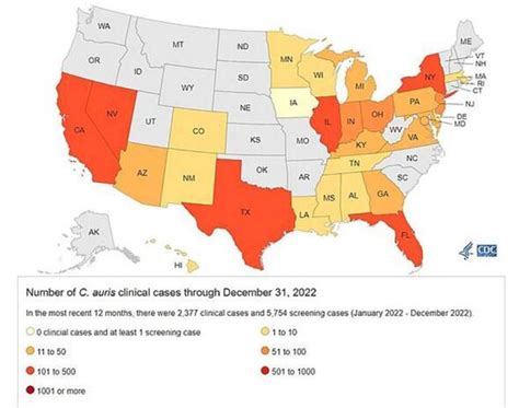 Map shows scary spread of deadly fungal disease across US as one in three infected die