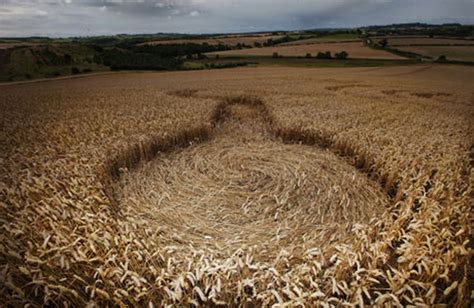 crop circle collaboration at Peacedale Preserve - Natural Lands