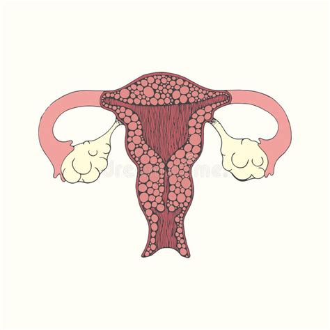 Sketch Uterus And Lips In Vintage Style Stock Vector - Illustration of design, beautiful: 56060857