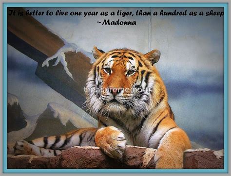 40+ Powerful Inspirational Tiger Quotes