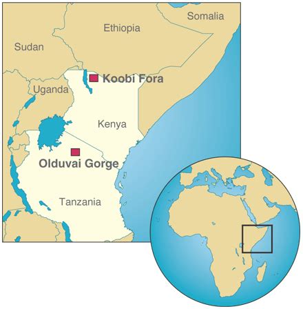 Encore Olduvai | Science