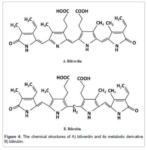 cancer-science-therapy-metabolic-derivative