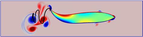 Studying the Swimming Patterns of Fish with Simulation | COMSOL Blog