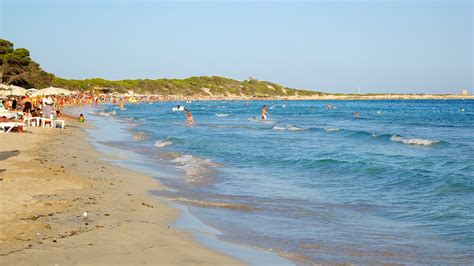 Las Salinas Beach in Sant Josep de sa Talaia, | Expedia